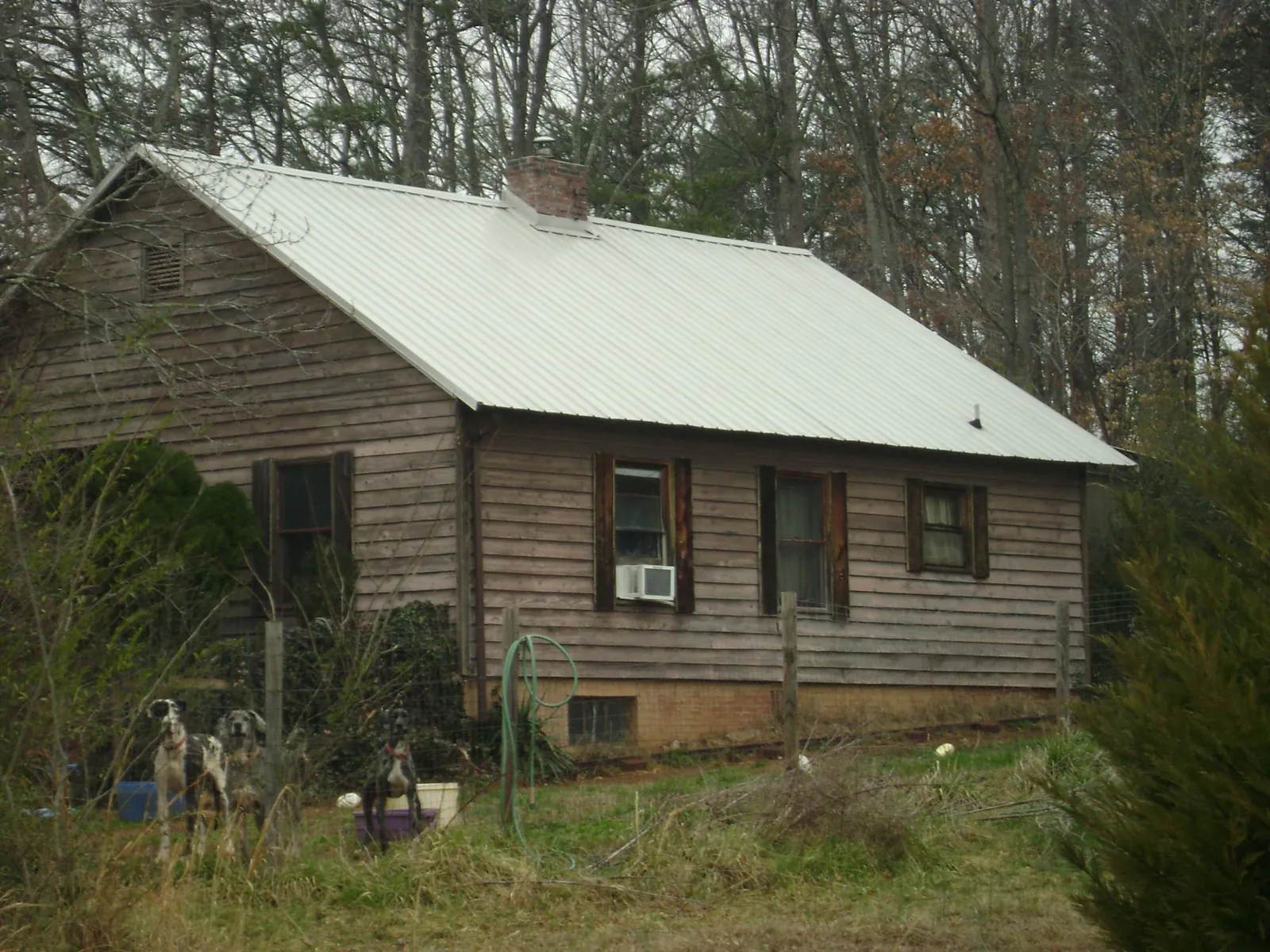 White metal roof on an old wood sided farmhouse, from a Asphalt Shingle Roof Repair job in Bryn Mawr